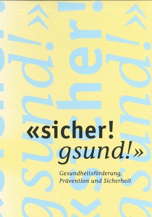 Libri: Ordner "sicher! gesund!" – Usato da Guttannen venduto da zuberling