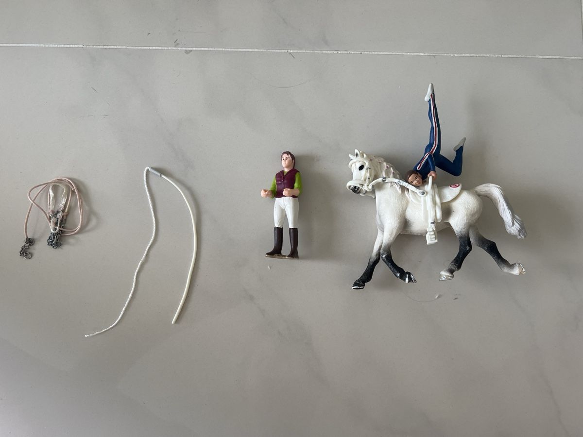 Schleich Giocattoli: Schleich longieren – Usato da Dietwil venduto da sarn 2