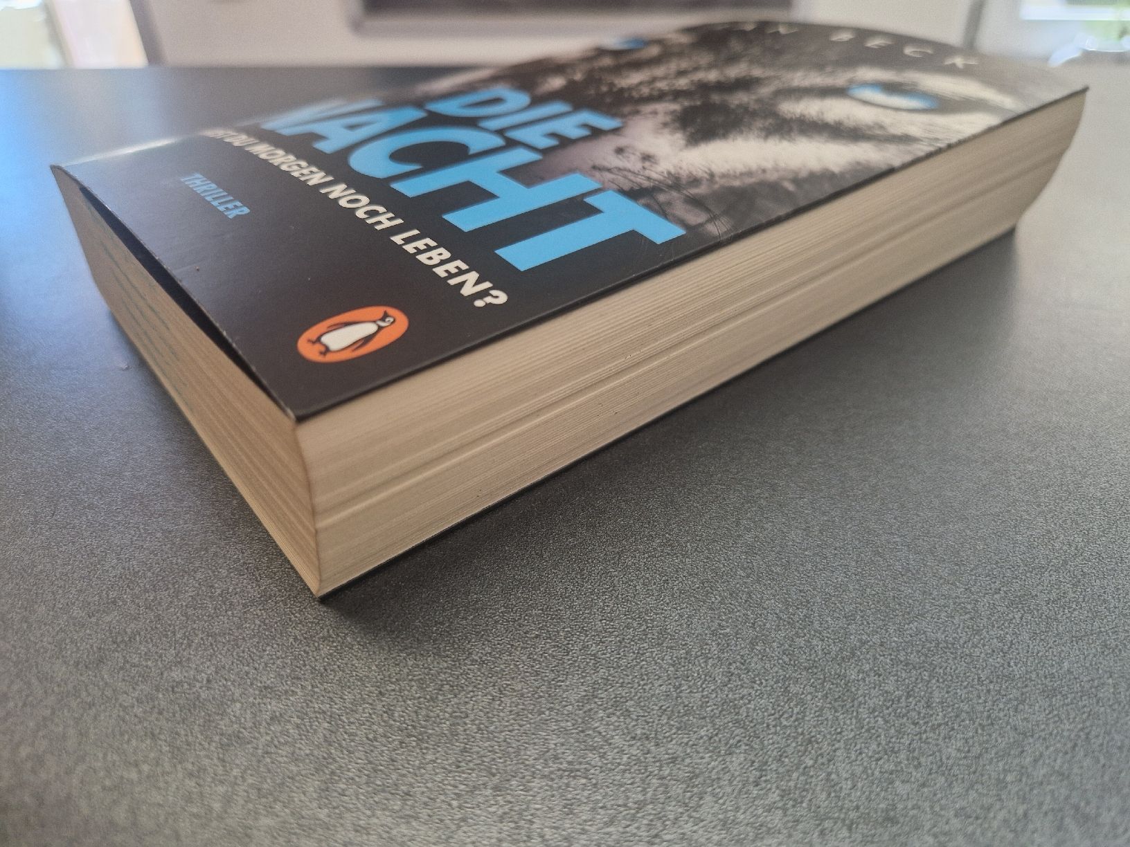 Livres: Die Nacht - Jan Beck Thriller  – D'occasion à Meilen par Hausimaasi 2