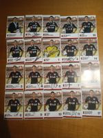 Bayer Leverkusen - 33x handsigniert - Saison 13/14