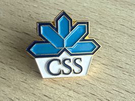 Pin CSS