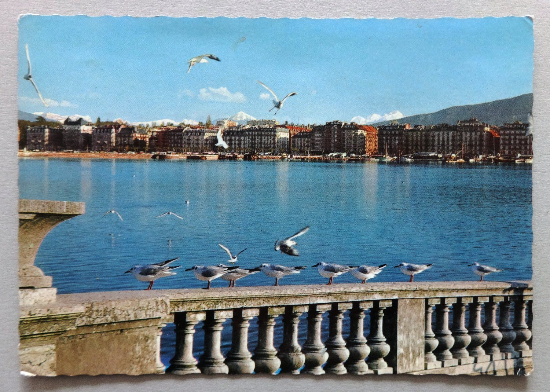 Ansichtskarten: Genève - Mouettes dans la rade en hiver – Gebraucht aus Fétigny von Billy2miny