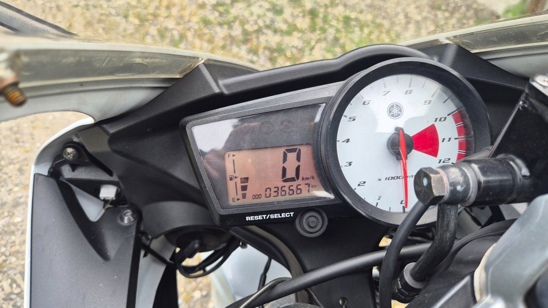 Yamaha Strada: Yamaha YZF-R125 – Difettoso da Berneck venduto da SwissStyle 8