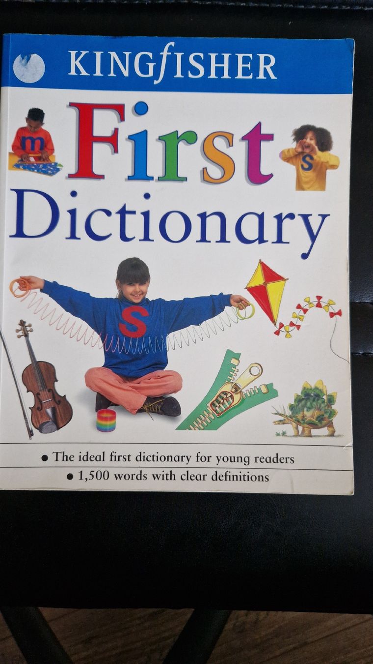 Libri: Kingfisher First Dictionary - Illustriertes Wörterbuch Kinde – Usato da Wauwil venduto da oeh_5zcb