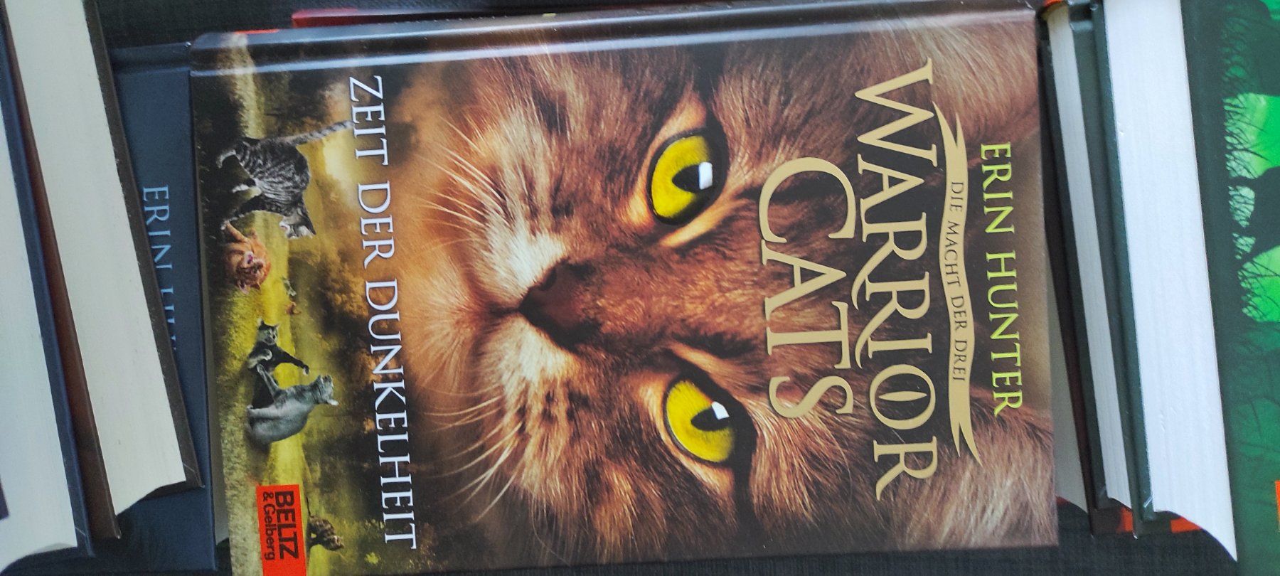 Libri: Warrior Cats, Staffel 3, 6 Bücher – Usato da Bassersdorf venduto da lar_9p6m 2
