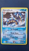 Gyarados [Holo] #19 – Pokémon Stormfront