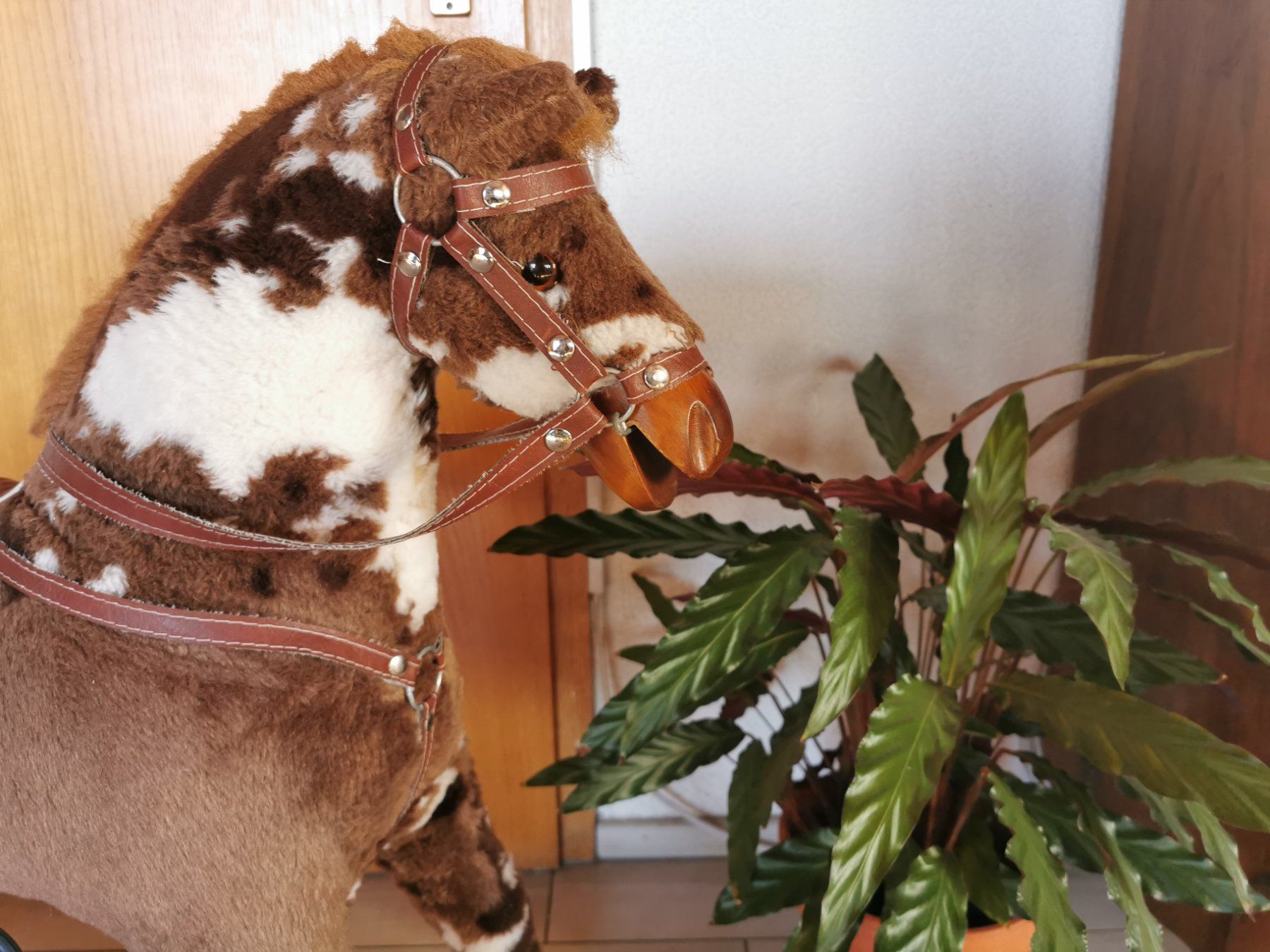 Giocattoli: Cheval à bascule - Schaukelpferd – Usato da Veytaux venduto da lelivreouvert 2