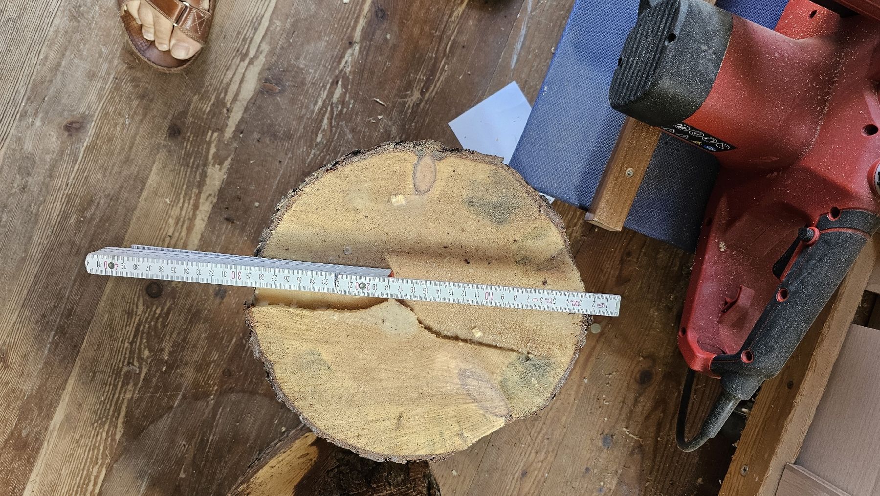 Articoli in legno: Arvenholz Stamm aus dem Engadin – Nuovo (secondo la descrizione) da Pfäffikon ZH venduto da Harder6 4