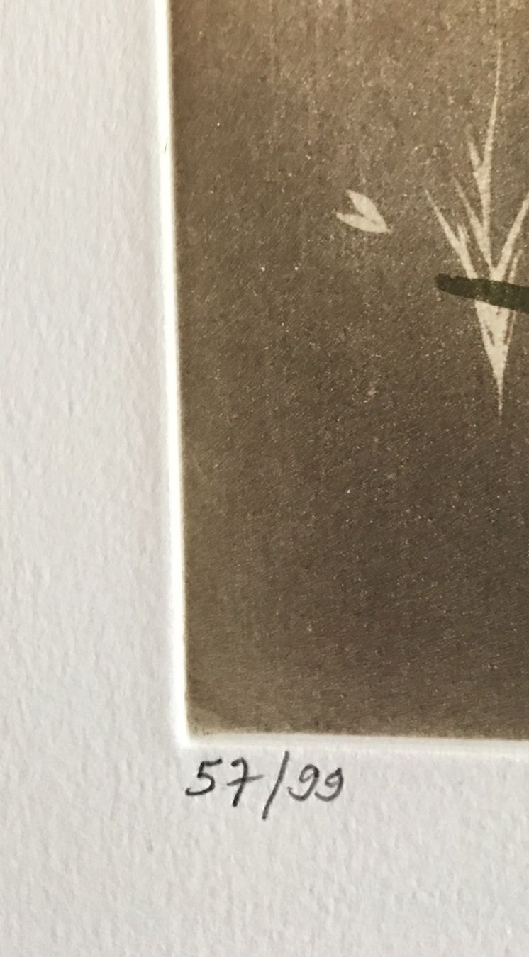 Dipinti: Renée Lubarow  "Centurion de Mars"  FARBRADIERUNG – Usato da Nennigkofen venduto da waltraub 5