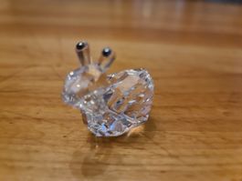 Swarovski Figur Lovelot Shina