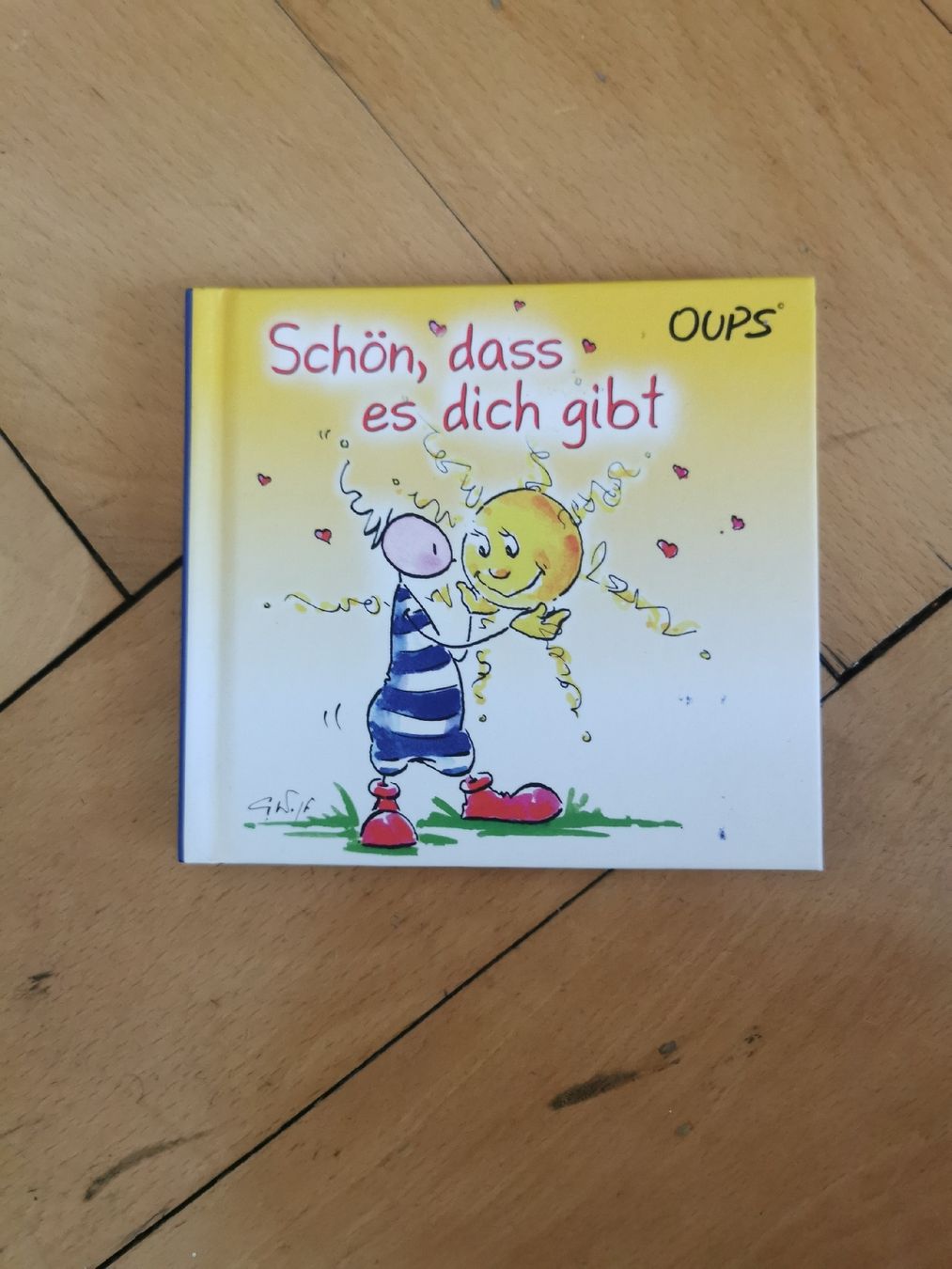 Libri:  "Schön, dass es dich gibt"  – Nuovo (secondo la descrizione) da Bern venduto da cam_b7ts