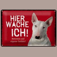 🔥 BULLTERRIER HIER WACHE ICH Blechschild 🎀 20x30cm OVP 🔥