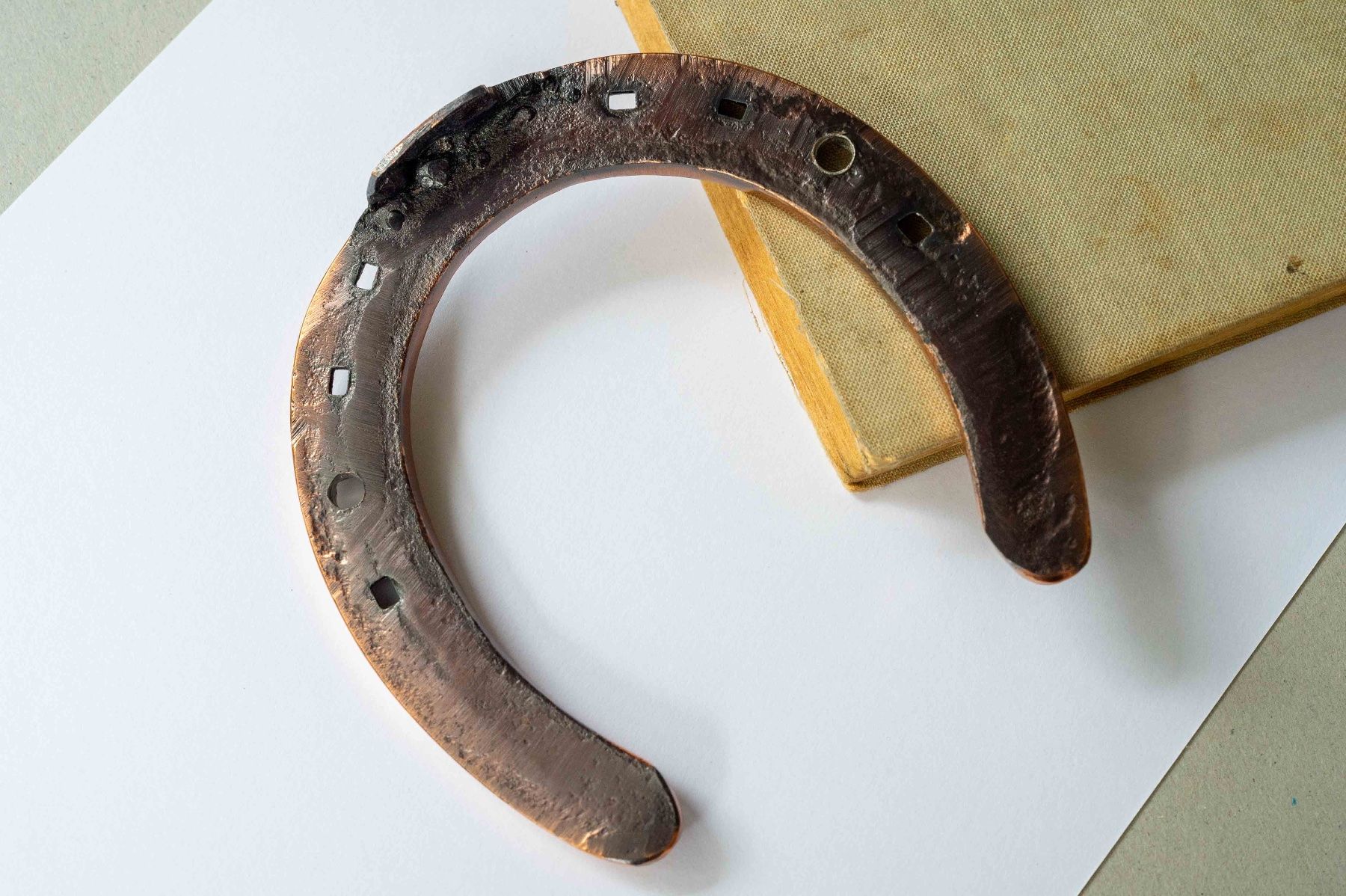 Altro in Accessori per animali: Hufeisen in bronze galvanisch verchromt – Usato da Schwerzenbach venduto da floridan 2