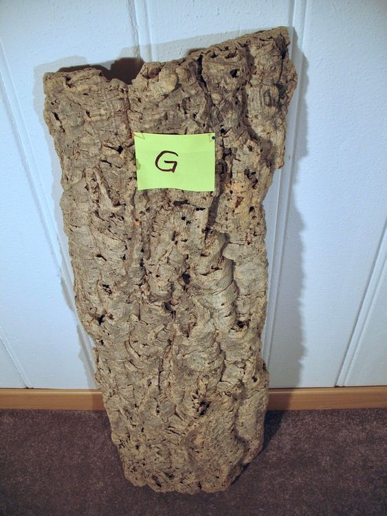 4er-Set Korkrinde Für Terrarien - Natürliche Kletterwand Für Reptilien 15x15cm