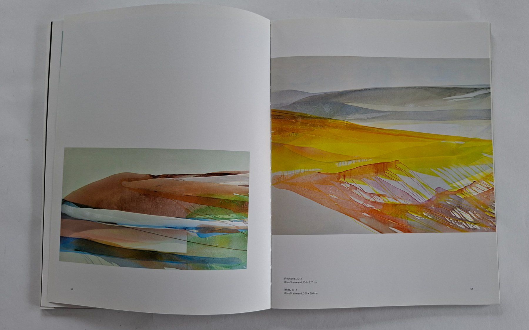 Bücher: Ute Klein: Fluss, Scheidegger&Spiess, Kunstbuch, Top! – Gebraucht aus Opfikon von Diversamente 6