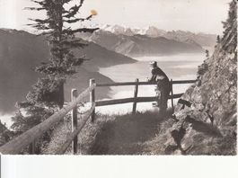 Stanserhorn Aussicht 1956