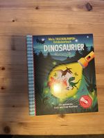 Dinosaurier Buch