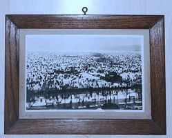 Zürichseegefrörne 1929