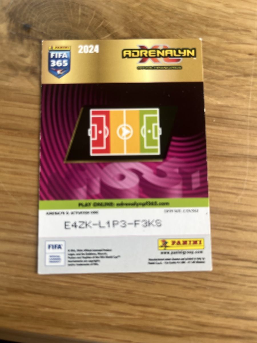 Panini Carte collezionabili: FIFA 365 Invincible – Nuovo (secondo la descrizione) da Burgdorf venduto da lea_cw56 1