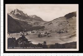 Alte Ansichtskarte Starkenbach Wildhauser Schafberg