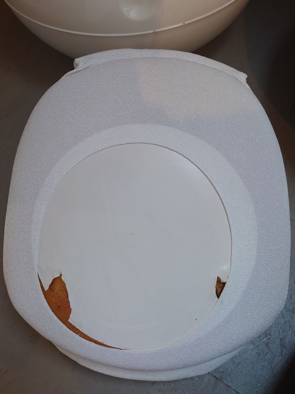 Poltrone: Garden Egg Chair Peter Ghyczy – Usato da Wetzikon ZH venduto da Dna77 4