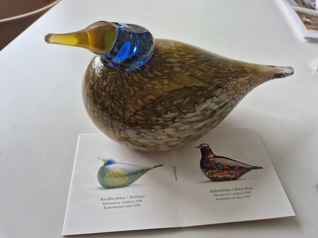 Iittala Statuette: OIVA TOIKKA. Glasvogel "Dotterel" Iittala – Usato da Dübendorf venduto da helenlisa
