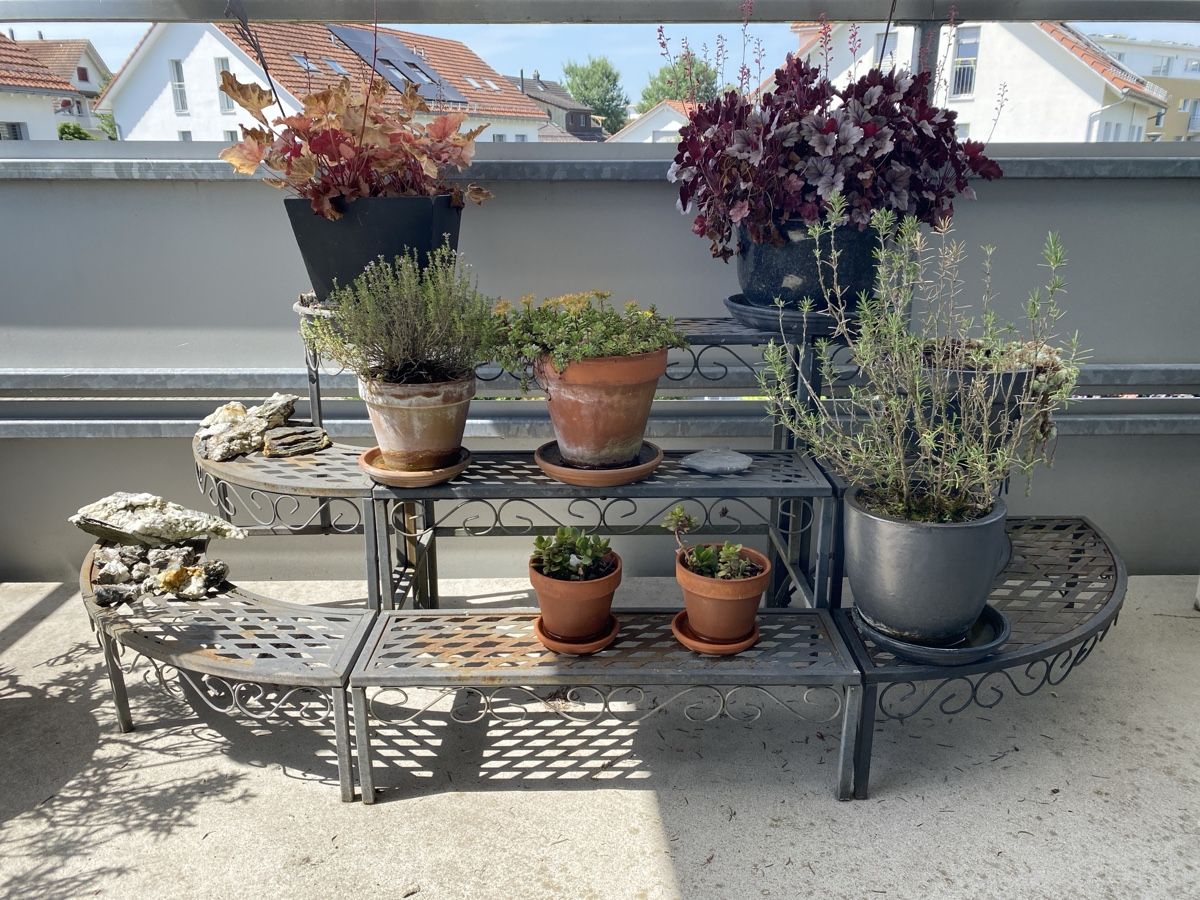 Altro per la casa: Treppe für Pflanzen – Usato da Fehraltorf venduto da Marian4 2