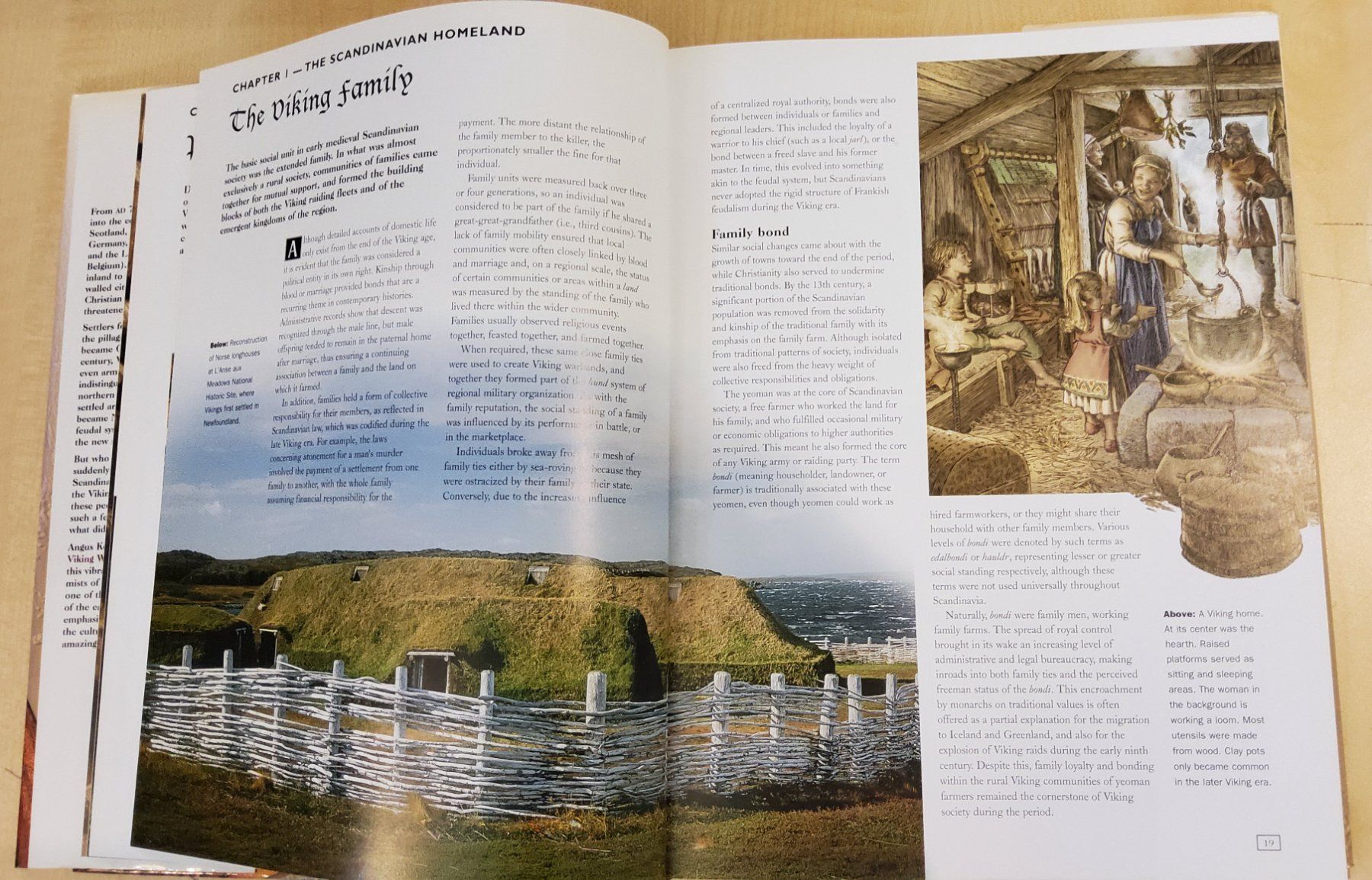 Bücher: Buch VIKING WORLD 2002 englisch – Gebraucht aus Grüningen von VENOM59 3
