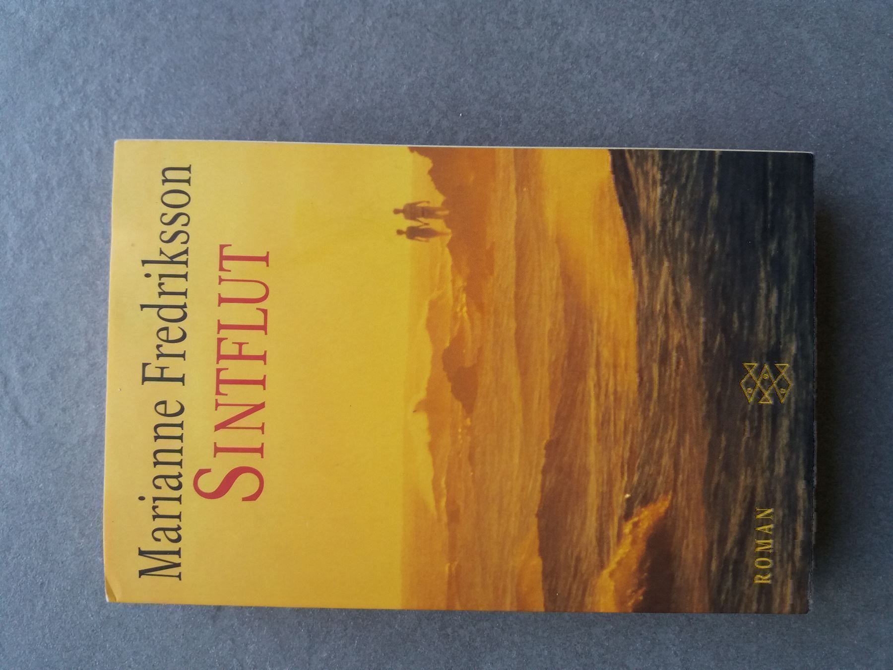 Libri: Sintflut Marianne Fredriksson TB – Usato da Riehen venduto da India13
