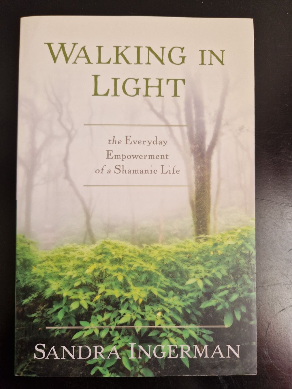 Bücher: Walking in the Light – Neu (gemäss Beschreibung) aus Rüti ZH von Gigelisuppe