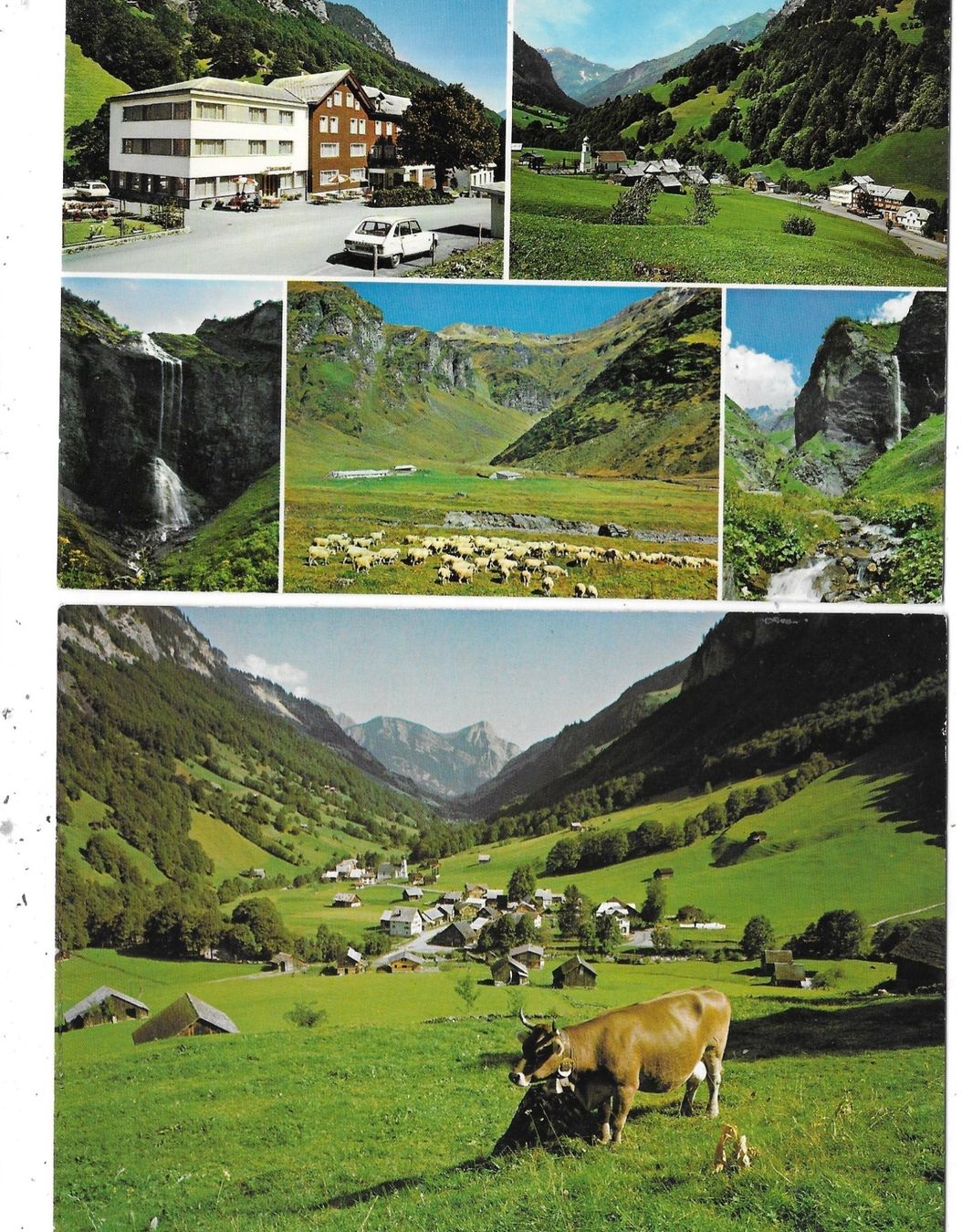 Cartoline postali: SG 2x AK Weisstannen farbig – Usato da Schocherswil venduto da Wilare