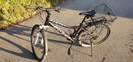 Focus Mountainbike für Jugendliche, selten benutzt