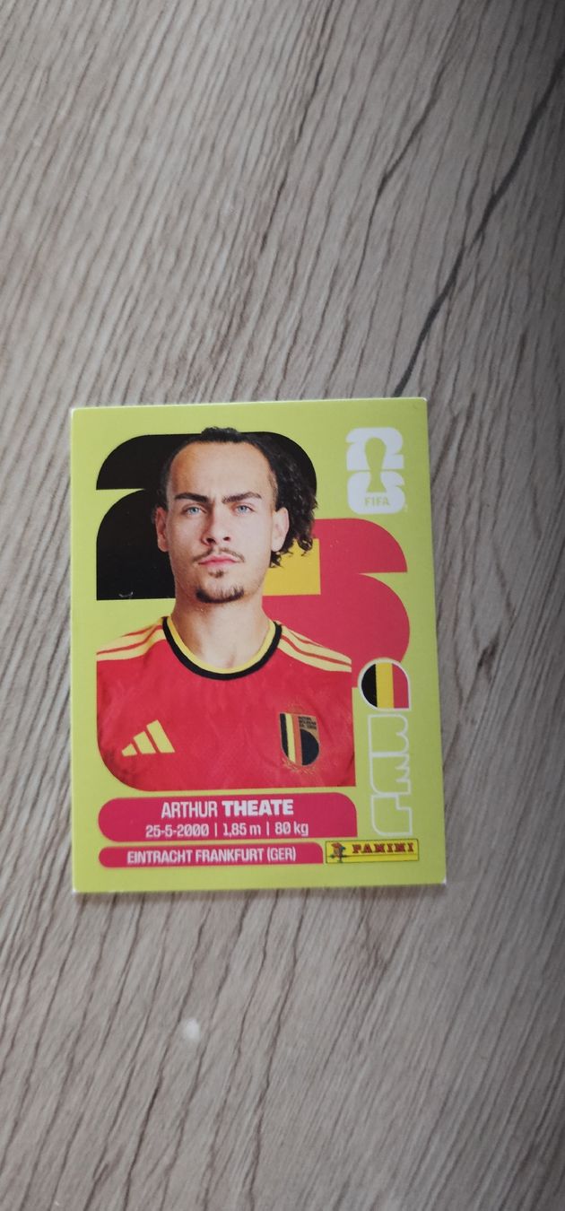Panini Cartes à collectionner: Fifa World Cup Panini BEL 3 – Neuf avec emballage d'origine à Biel VS par volcom8702