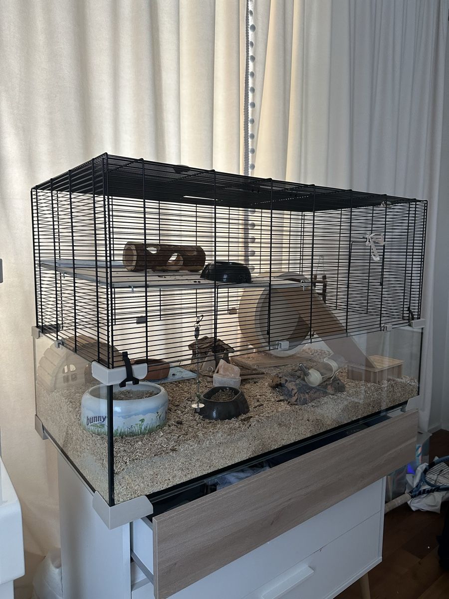 Gabbie, trasporto & Sicurezza: Hamster cage – Usato da Zürich venduto da rom_y6h6 1