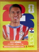 Panini PAR10