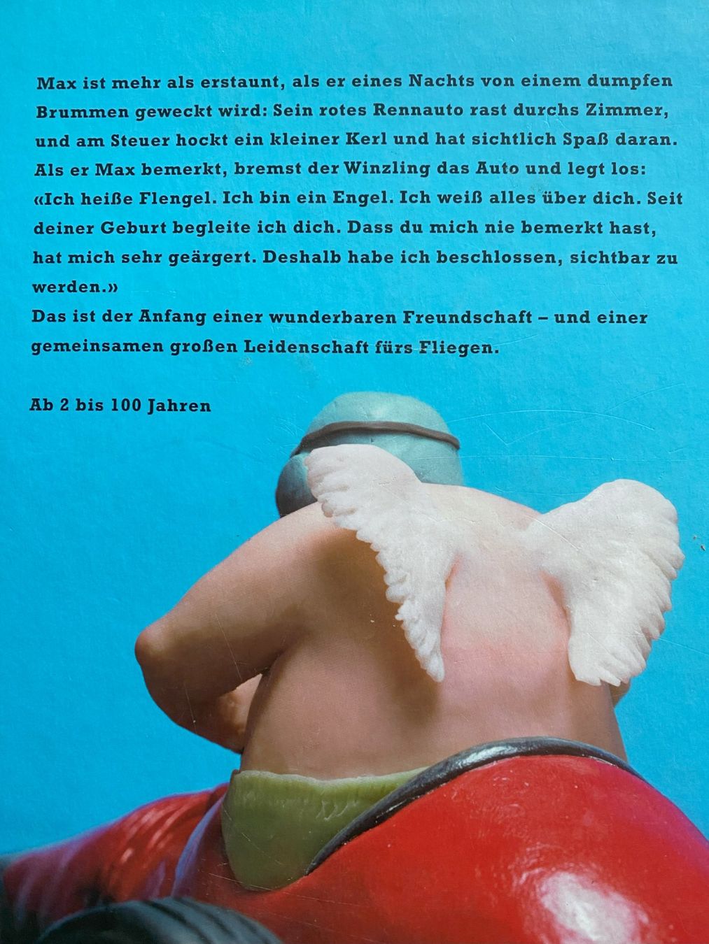 Libri: Flieg, Flegel flieg! – Nuovo (secondo la descrizione) da Sachseln venduto da basti1950 1