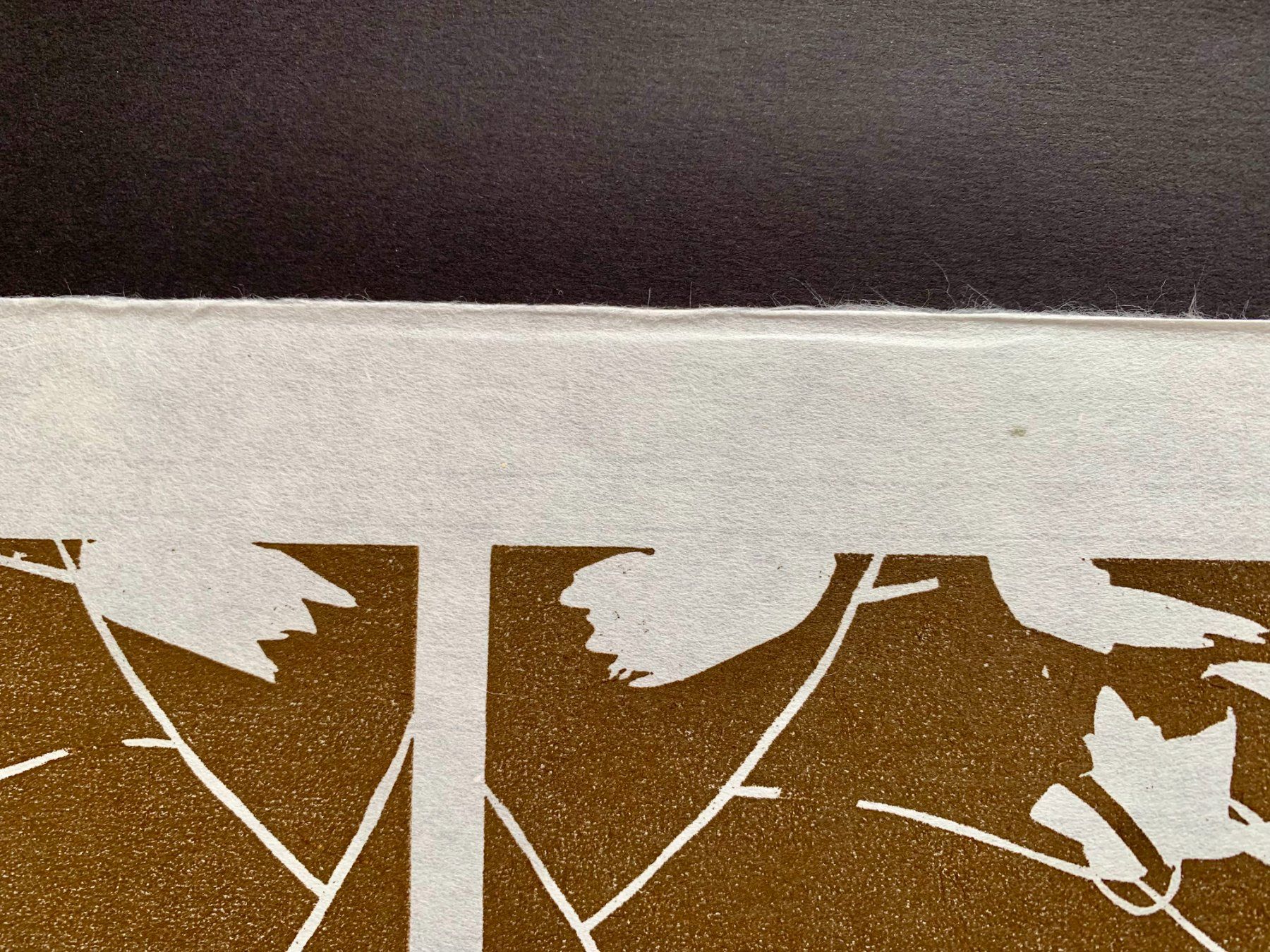 Gravures sur bois: Alex Katz, Holzschnitt – D'occasion à Regensdorf par JoergR 4