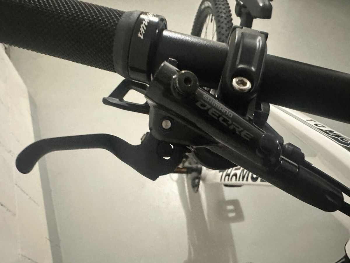Thömus Biciclette: Thömus Tomcat Bike NEU – Nuovo (secondo la descrizione) da Wileroltigen venduto da torro11 3