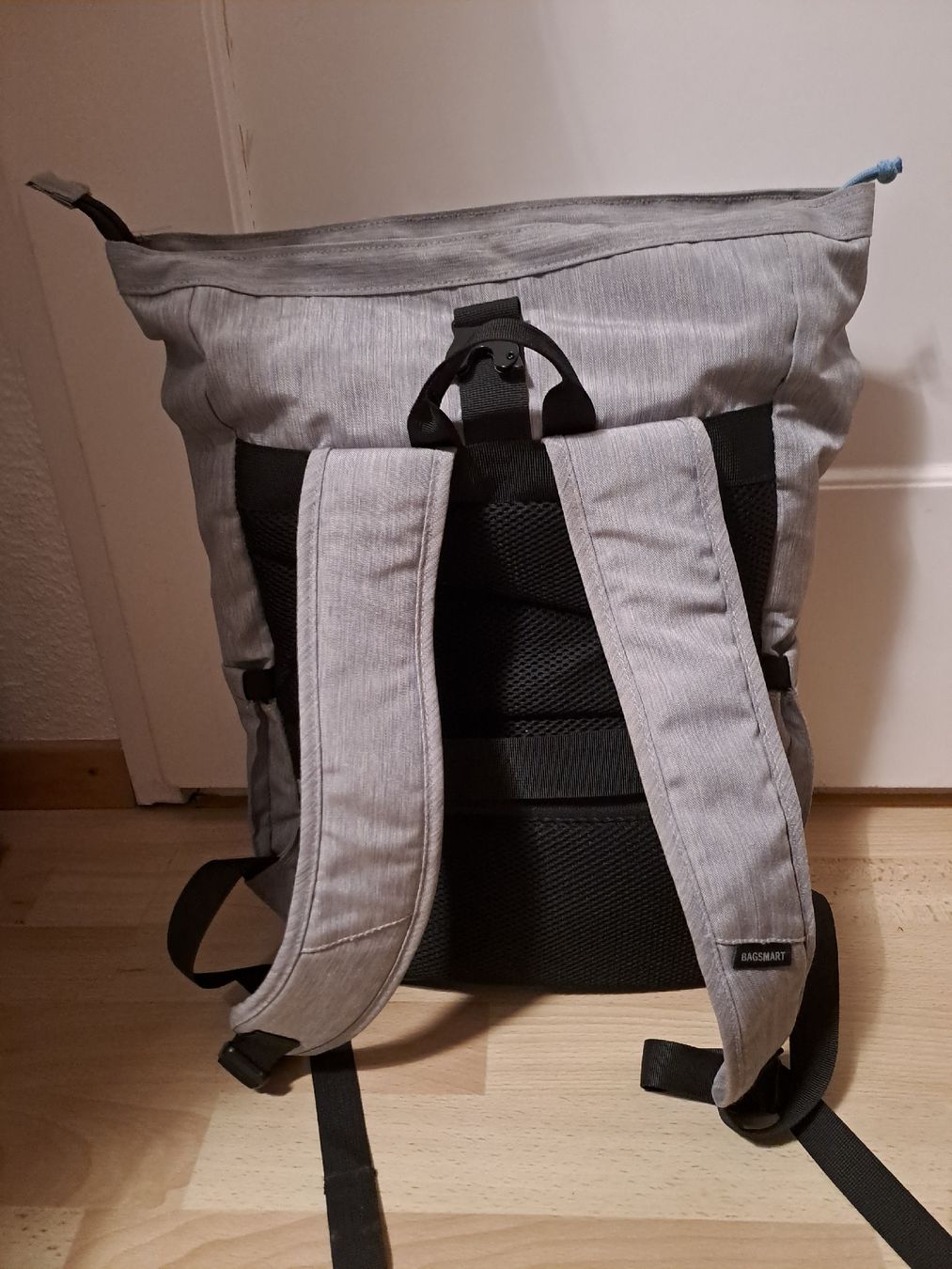 Zaini: Bagsmart Roll-Top Rucksack grau – Usato da Wädenswil venduto da FrieBro 2