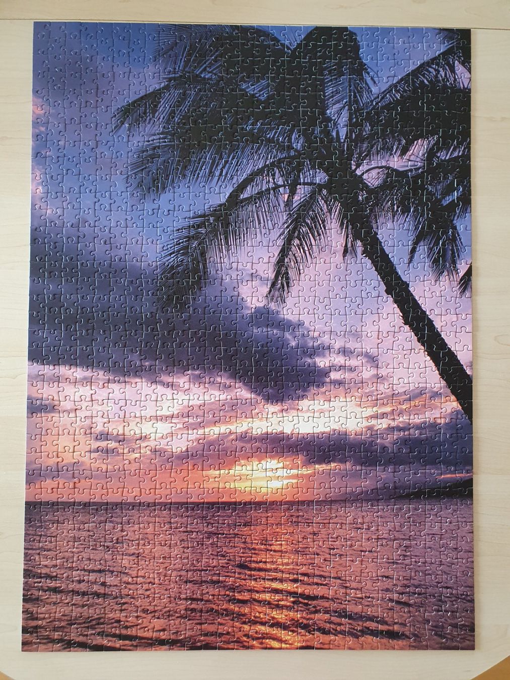 Ravensburger Puzzle: Ravensburger Puzzle mit 1000 Teilen – Usato da St. Margarethen TG venduto da Schachmatt 1