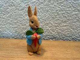 Tonie Peter Hase und seine Freunde (Englisch)