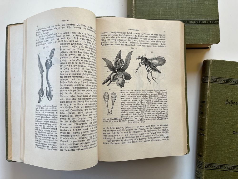 Livres: Schoedlers Buch der Natur 4 Bände 1897- 1904 – D'occasion à Laufen par Nuria44 2