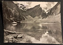 SEEALPSEE 1964