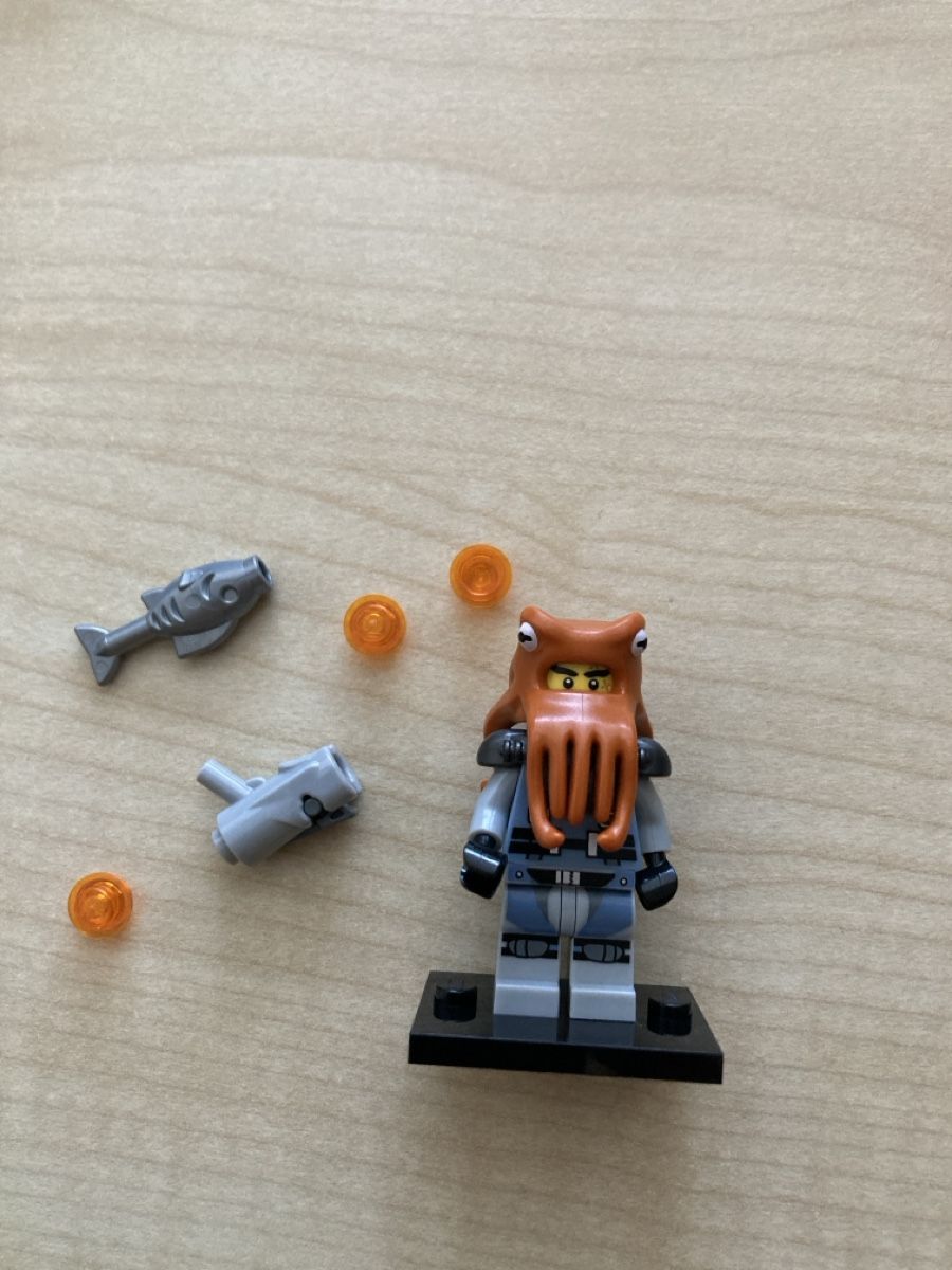 Lego Figuren: LEGO Ninjago Minifiguren 7 Stück – Neu (gemäss Beschreibung) aus Schwarzenburg von Schrepfer 7