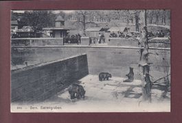 BERN - Bärengraben - 1910
