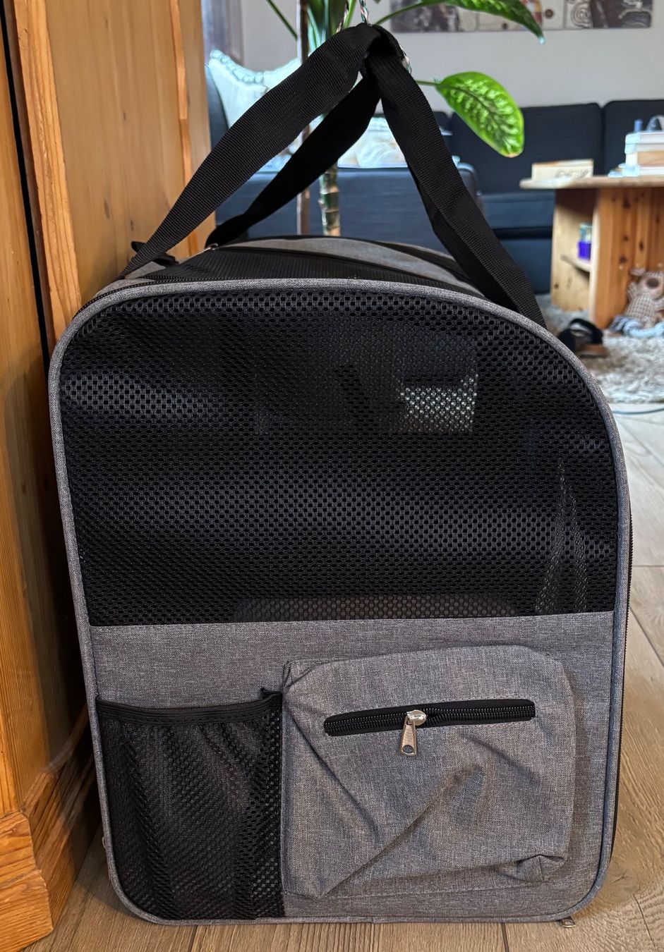Taschen: Hundetasche – Neu (gemäss Beschreibung) aus Dreien von Aelisa 6