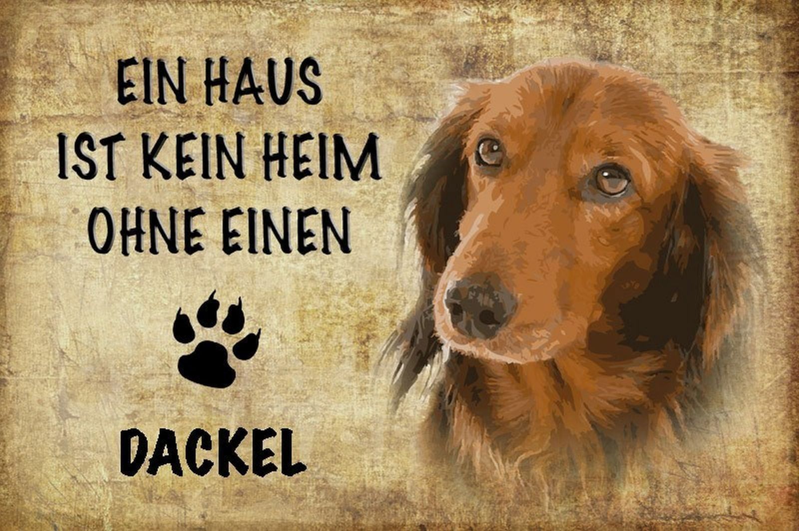 Insegne: Blechschild-DACKEL-KEIN HEIM OHNE EINEN – Nuovo e nell'imballaggio originale da Rupperswil venduto da big-one-sale