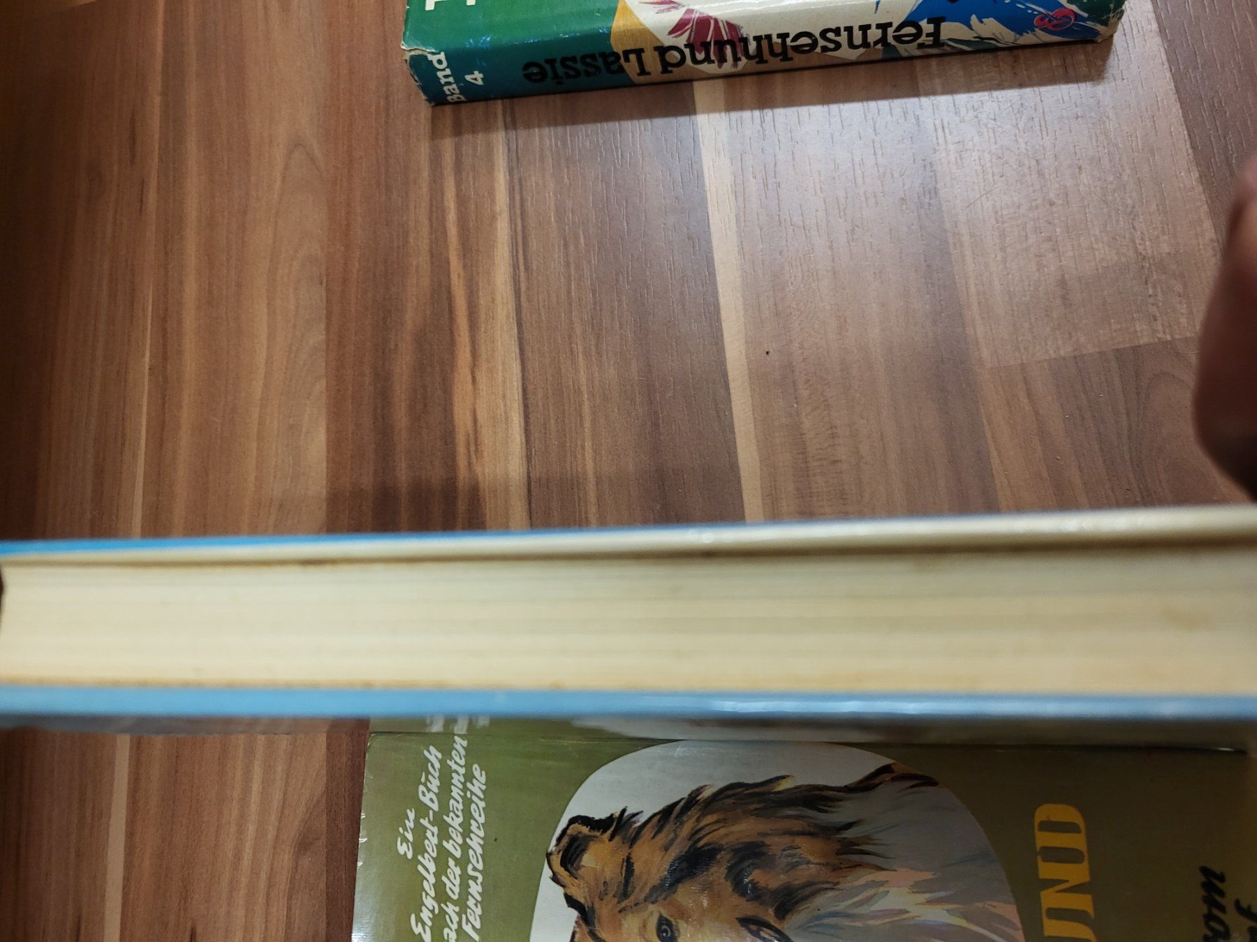 Libri: Lassie Bücherset B3 – Usato da Schwarzenburg venduto da Flamingo07 2