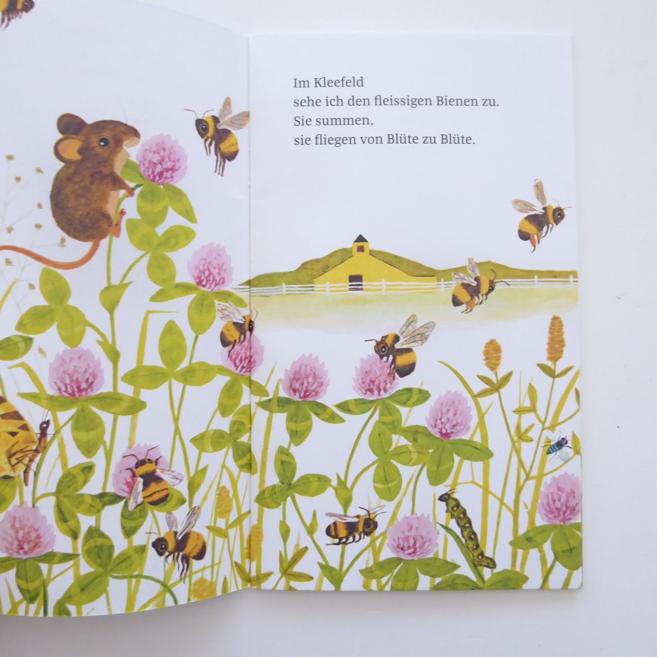 Libri: Ich bin die kleine Maus – Usato da Basel venduto da Kunterbunt12 2