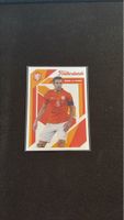 Sammelkarte - Robin van Persie - Niederlande - DAKA